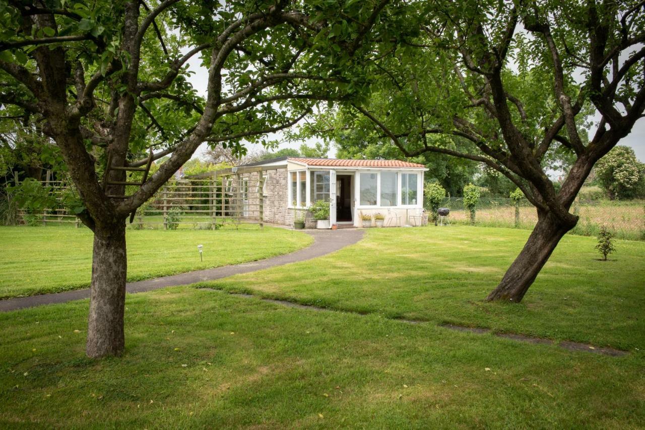 The Studio Somerton  Eksteriør bilde